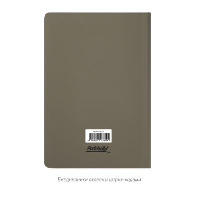 Ежедневник Спарк (Spark) недатированный, серый (без упаковки, без стикера)-12