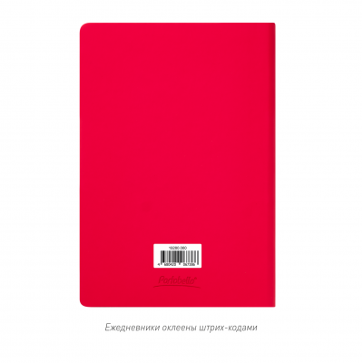 Ежедневник Spark недатированный, красный (с упаковкой, со стикерами)-9