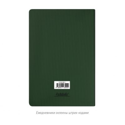 Ежедневник Rain недатированный, зеленый (без упаковки, без стикера)-9