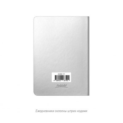 Ежедневник Spark mini A6 недатированный, серебряный-16