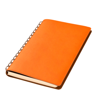 Ежедневник Виста (Vista) недатированный, оранжевый/коричневый-2