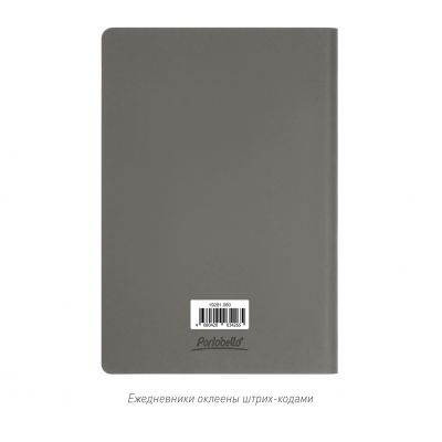 Ежедневник Стар (Star) недатированный, серый (с упаковкой, со стикерами)-13