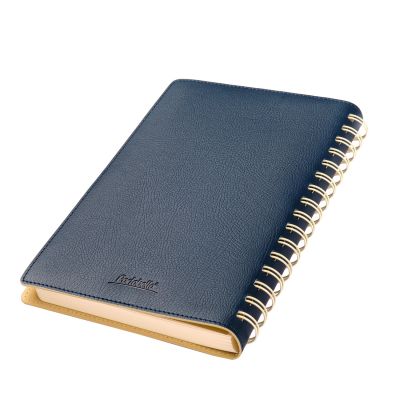 Ежедневник Vista недатированный, синий/бежевый-5