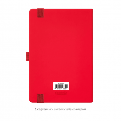 Ежедневник Alpha недатированный, красный/серый-10