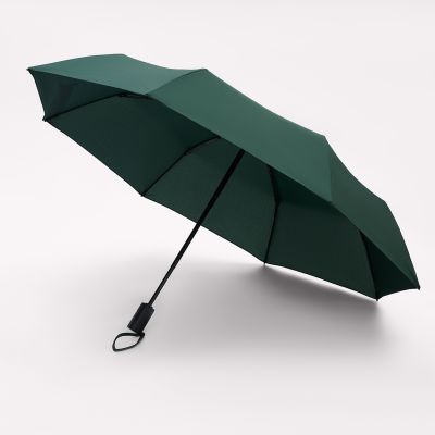 Зонт складной Пассат (Passat), зеленый-14