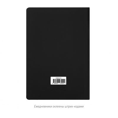 Ежедневник Спарк (Spark) недатированный, черный (с упаковкой, со стикерами)-13