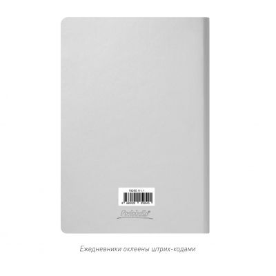 Ежедневник Spark недатированный, серебряный (без упаковки, без стикера)-12