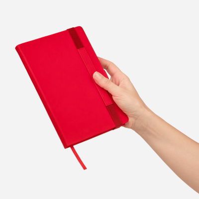 Ежедневник Альфа (Alpha) недатированный, красный/серый-12