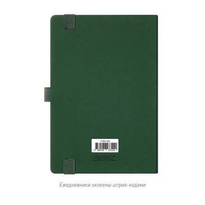 Ежедневник Alpha недатированный, зеленый/оливковый-11