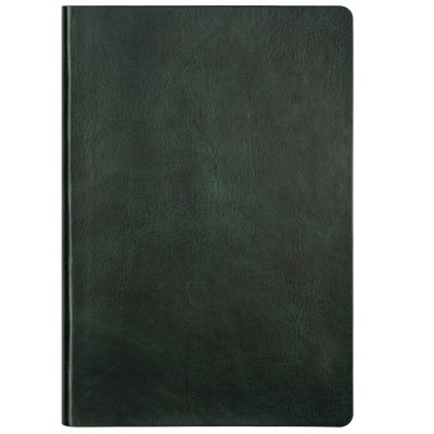 Ежедневник River side недатированный, зеленый/бургунди-6