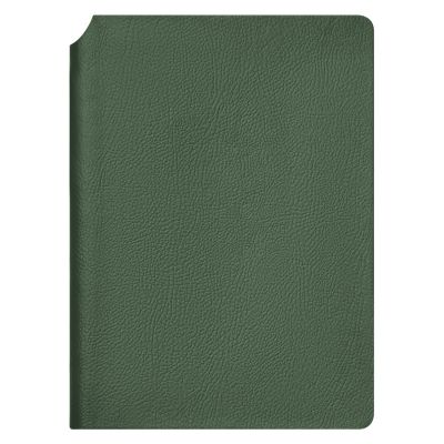 Ежедневник Molto недатированный, зеленый-3