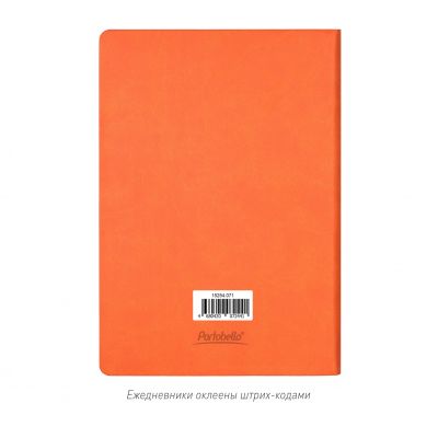 Ежедневник Латте (Latte NEW) недатированный, оранжевый/оранжевый-13