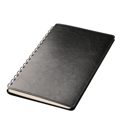 Ежедневник Vista Neo недатированный, черный-2