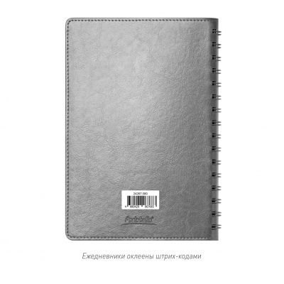 Ежедневник Vista Neo недатированный, серый-14
