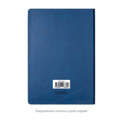 Ежедневник Latte NEW недатированный, синий/голубой (без упаковки, без стикера)-10