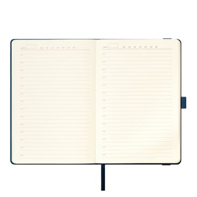 Ежедневник Alpha недатированный, синий/голубой-8