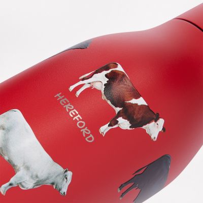 Термобутылка вакуумная герметичная Севилла (Sevilla), красная-12