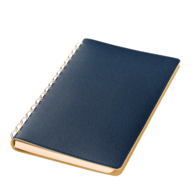 Ежедневник Vista недатированный, синий/бежевый-2