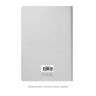 Ежедневник Спарк (Spark) недатированный, серебряный (без упаковки, без стикера)-10