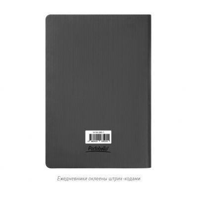 Ежедневник Рейн (Rain) недатированный, серый (без упаковки, без стикера)-13