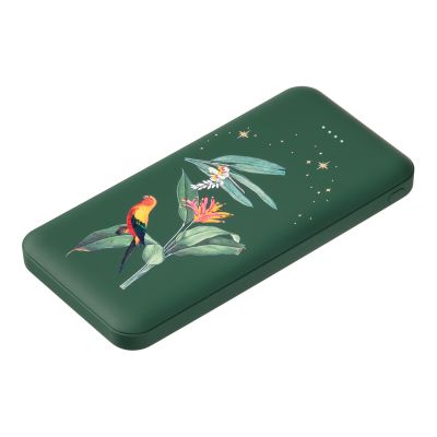 Внешний аккумулятор Elari Plus 10000 mAh, зеленый-3