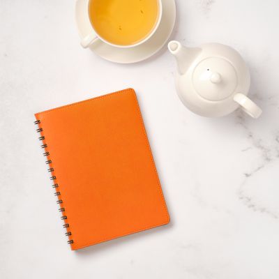 Ежедневник Виста (Vista) недатированный, оранжевый/коричневый-12