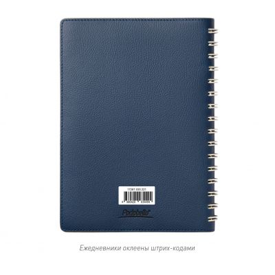 Ежедневник Vista недатированный, синий/бежевый-15