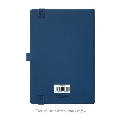 Ежедневник Альфа (Alpha) недатированный, синий/голубой-10