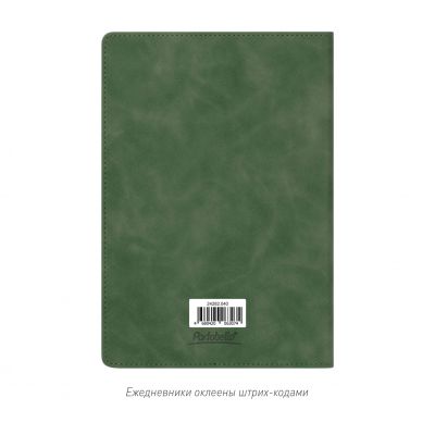 Ежедневник Verona недатированный, зеленый-15