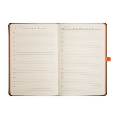 Ежедневник Gourji 