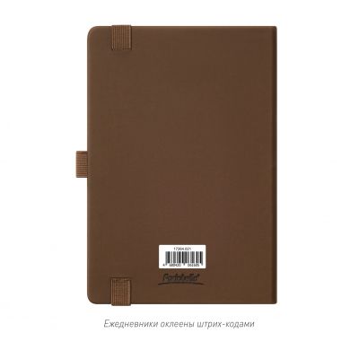 Ежедневник Альфа (Alpha) недатированный, коричневый/бежевый-10
