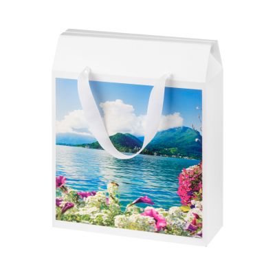 Подарочная коробка-пакет универсальная большая, белая, 295х115х372 мм (с ложементом)-2