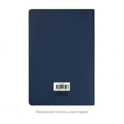 Ежедневник Rain недатированный, синий (без упаковки, без стикера)-15