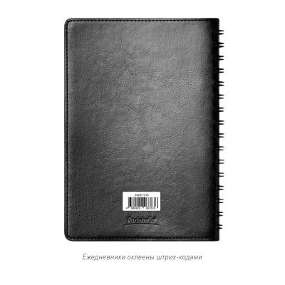 Ежедневник Vista Neo недатированный, черный-14