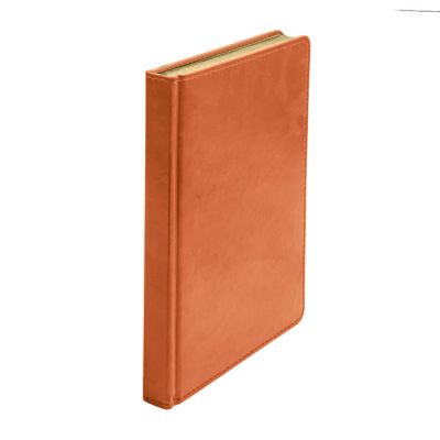 Ежедневник недатированный Joy, формат А5, в линейку, оранжевый-7