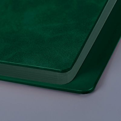 Ежедневник недатированный Solas, формат А5, с магнитом, зеленый, кремовый блок в линейку-5
