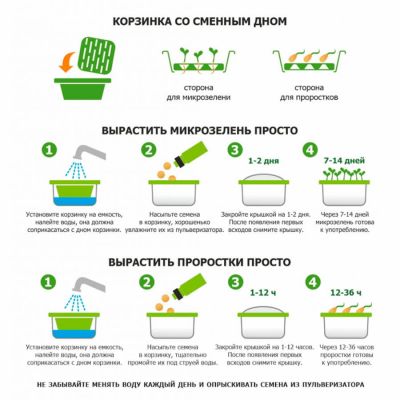 Подарочный комплект для проращивания микрозелени: проращиватель, семена редиса, зеленый, красный-4