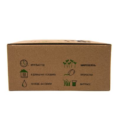 Проращиватель 'Моя микрозелень', зеленый, белый-3