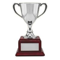 Кубок, серебристый