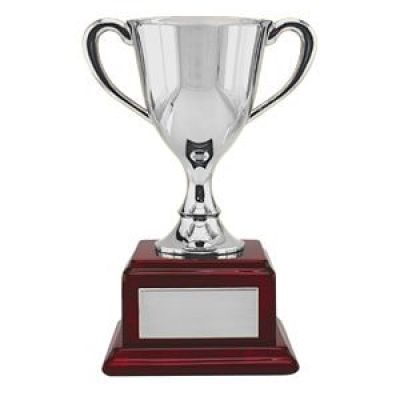 Кубок, серебристый-0