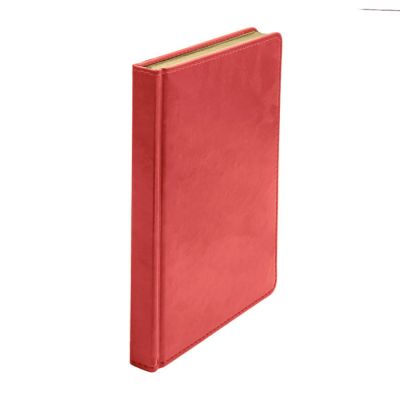 Ежедневник недатированный Joy, формат А5, в линейку, ярко-красный-7