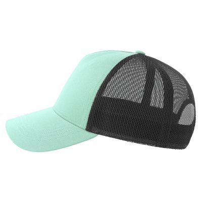 Бейсболка RAPPER COTTON-S, 5 клиньев, пластиковая застёжка, мятный, чёрный-1