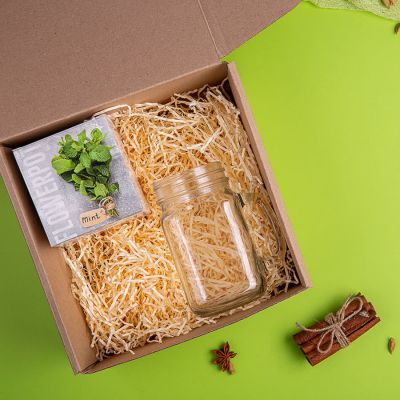 Набор подарочный PARTYMAKER: кружка-банка. набор для выращивания мяты, прозрачный, зеленый-1