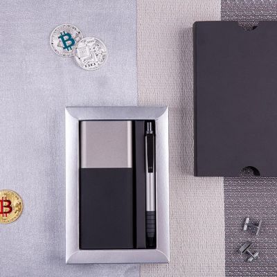 Набор подарочный BLACK GUN; универсальное зарядное устройство(10000мАh) и ручка; серебристый, черный, серебристый-2