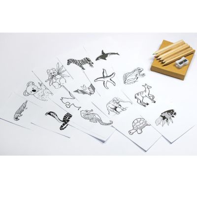 Набор цветных карандашей с раскрасками и точилкой 'Figgy', 7,4х9х1,5см, дерево, картон, бумага, коричневый-4