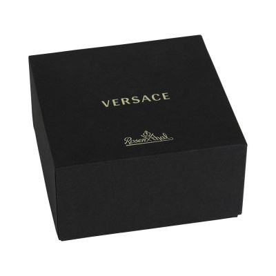 Набор бокалов для шампанского  Versace Medusa-1