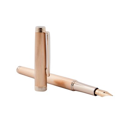 Ручка перьевая Pierre Cardin SHINE. Цвет - золотистый. Упаковка B-1-1