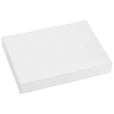 Набор Государственная политика: визитница, ручка шариковая, флешка 16 Гб, золотистый/серебристый-6