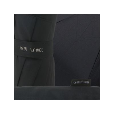 Складной зонт Hamilton Black-5