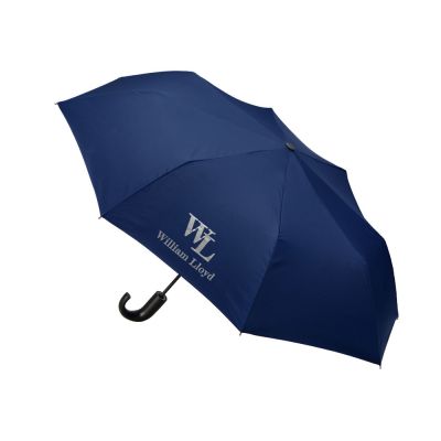 Складной зонт полуавтоматический William Lloyd, синий-1